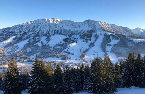 MOUNTAIN LODGE OBERJOCH - Allgäu - Foto 22