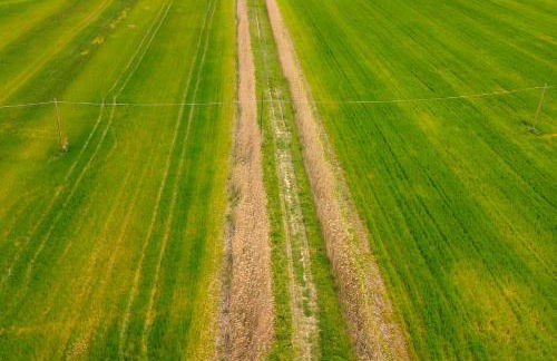 SelvaGiurata farmhouse villa - Foto 22