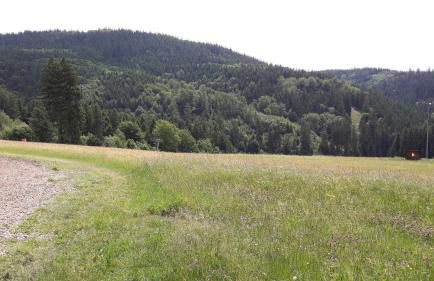 Ferienwohnung Bergwiese - Foto 17