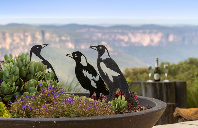 Shirri Mirri - Foto 19