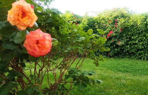 El huerto de la Reina - Foto 62