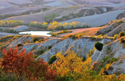Welcome at Poggio Cantarello Country Home Tuscany - Foto 85