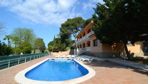 Museu Baixos - Foto 2