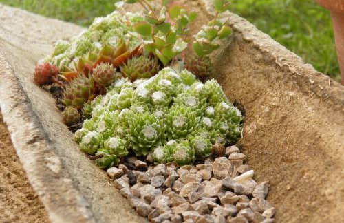 Studio Apartment MD - Photo 37