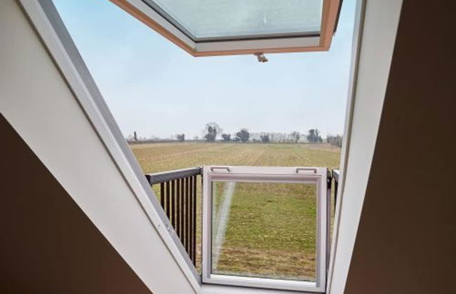 Host Stay Number One Piglets - Foto 4