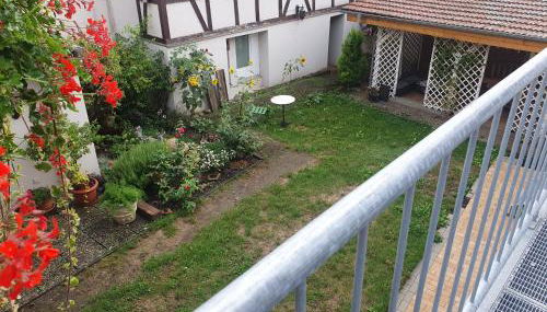 Auszeit im Rheingau - Foto 3, Garden