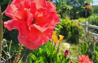 Maison Pays Fouesnantais"Chez Germaine" - Foto 4