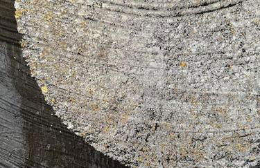 Stilvolle Wohnung in Bestlage - Foto 35