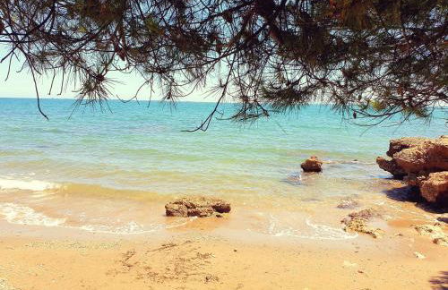 Ca la Mercè - Foto 35