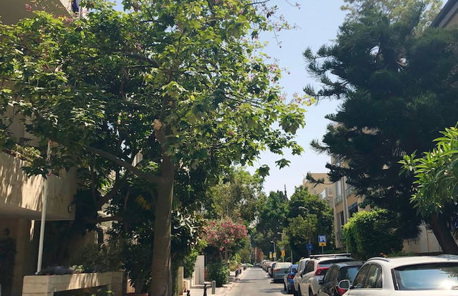 Penthouse & Terrace near Hilton by FeelHome - Foto 36