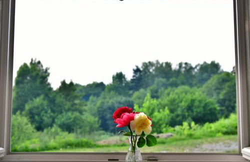 Apartment Stjepan - Foto 28