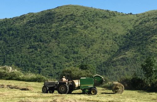 Casa Joana - Apartamento La Colomina - Foto 31