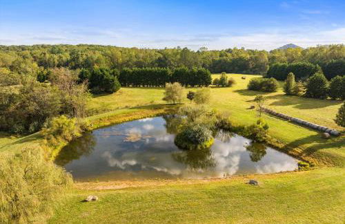 Mountain Mama Ranch - Luxury farmhouse on 200 acres with mountain views, 20mins to Shenandoah, 90mins from DC - Foto 56