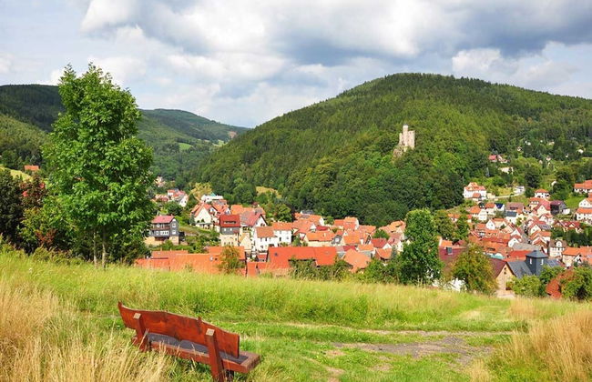 Wohnung Steinbach Nahe Skihalle Oberhof - Foto 22