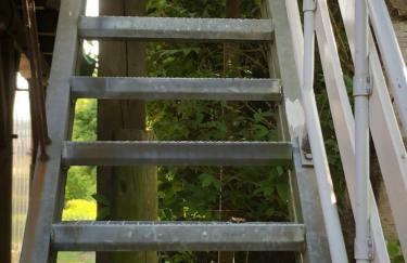 Wohnen im Alten Land - Photo 22