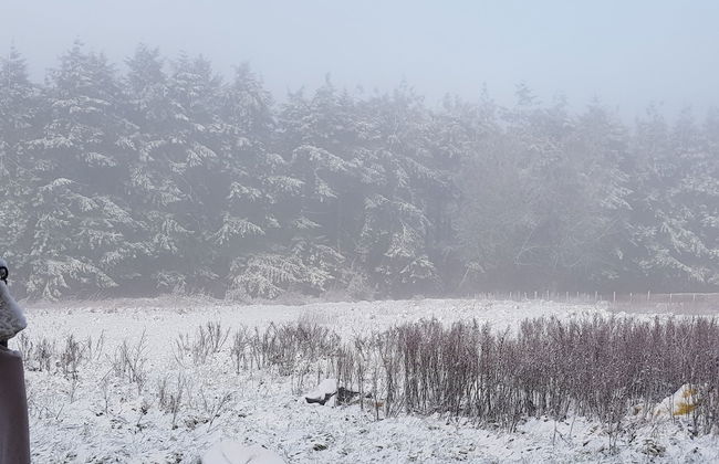 3 Bedroom Cottage - Hot Tub, Garden, Parking - Foto 24