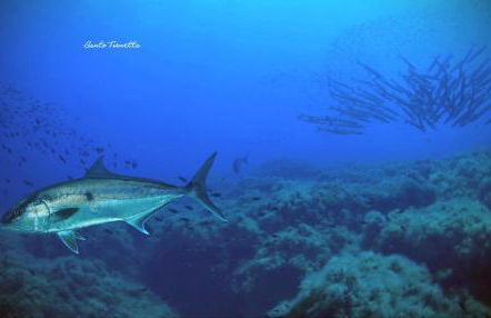 Casa Mariella - Foto 30