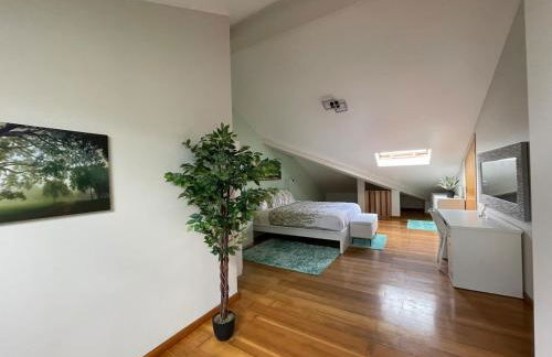 Picturesque Penthouse - Photo 8