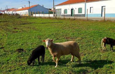 Casa do Avô Tó - Foto 40