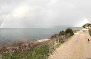 Luxury Apartment Kalebic - Photo 35