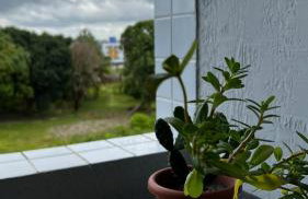 Residencial Havaí - Foto 42