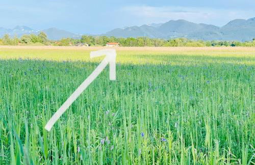 Farmhouse 1604 - Das Bauernhaus eines Fischers - Foto 62