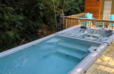 River Cabin Hot Tub & Swim Spa Near Downtown - Foto 23