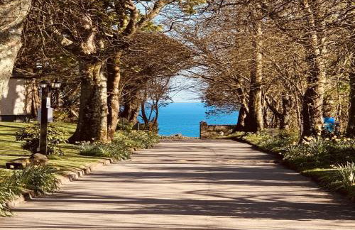 Manor Court - Foto 36