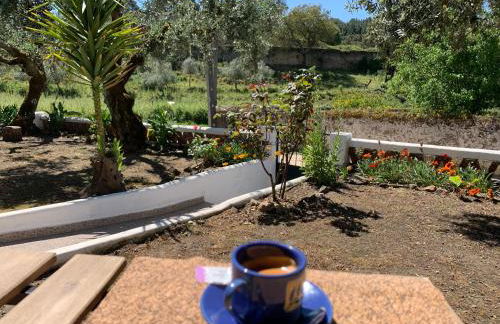 A Casa da Ti Vina - Foto 29