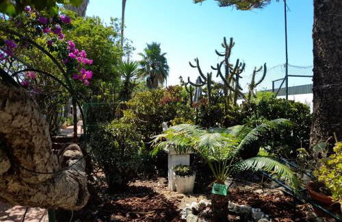 Villa Casa das Palmeiras - Foto 10