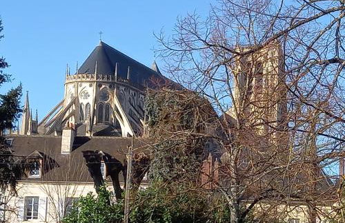 Le jardin d'Anatole - Foto 17