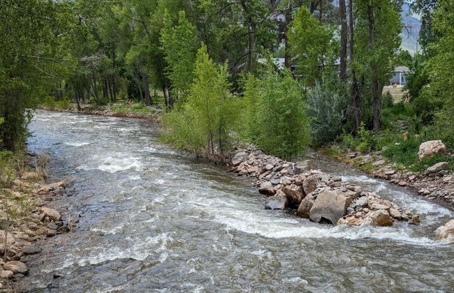 NEW 3bed 2bath With Creek and Open Spaces - Foto 23