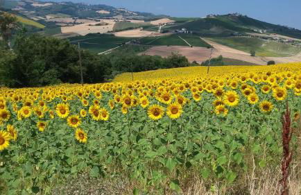 C'era Una Volta - Foto 8