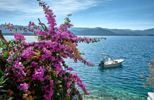 Repic Apartments - Photo 13