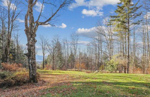 Cody's Clubhouse - Foto 34