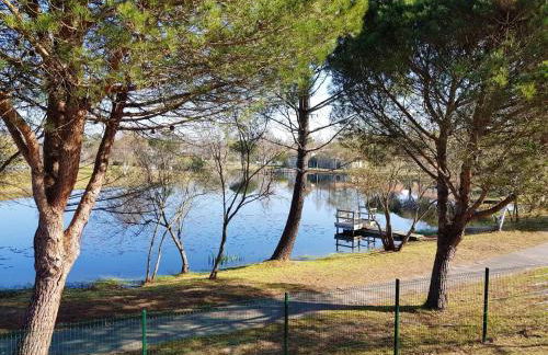 Maison confortable à Hourtin 33 m² avec terrasse - Foto 11
