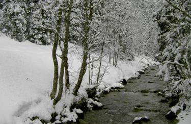 Ferienwohnung Am Waldrand - Foto 26