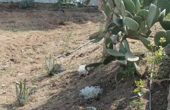 Il Dammuso di Tracino - Foto 34