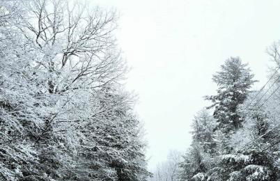 4BDRM Games Family Frndly Fire Pit Masthope - Foto 31