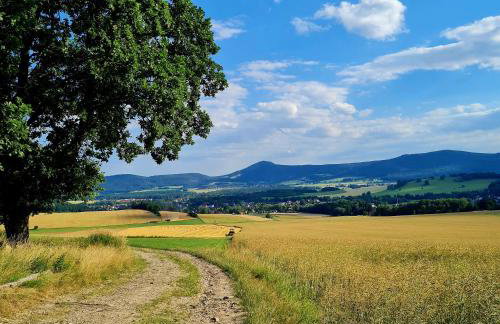 Urlaubsdomizil Am Töpfer - Ferienwohnungen in Olbersdorf - Foto 76