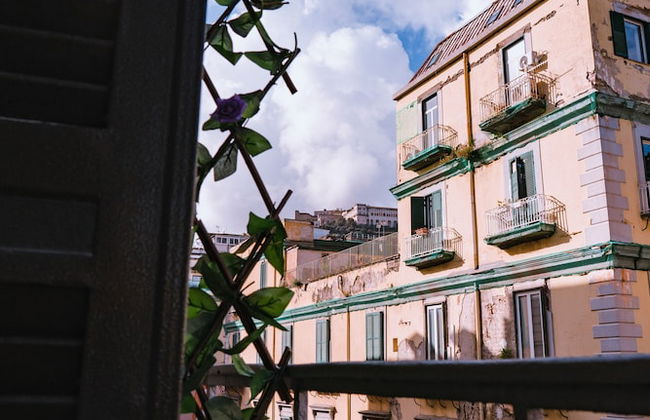 GG - Grow - Santa Brigida - Foto 37