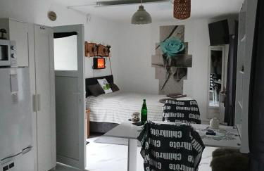 Chillkröte - Foto 18