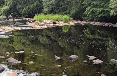 Unique Orchard Lodge for couples with hot tub - Photo 48