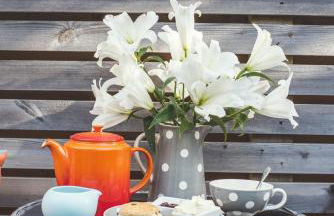 The Coastal Annexe, Stoke Fleming - Foto 54