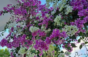 Korfes Apartments - Foto 52