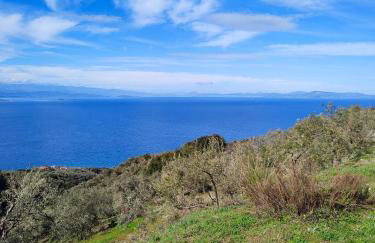 erofili apartments - Photo 53