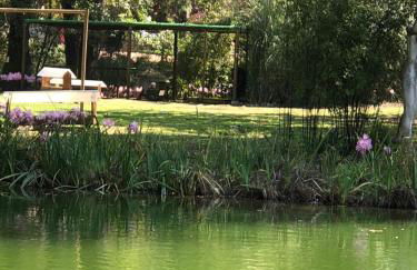 Apartamento - Casas dos Infantes - Foto 12