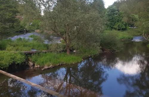 Spacious Farmhouse in Friedrichsfeld near Forest - Foto 39