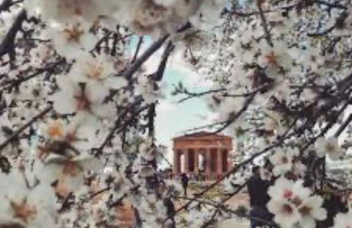 Home Ilardo - Foto 32