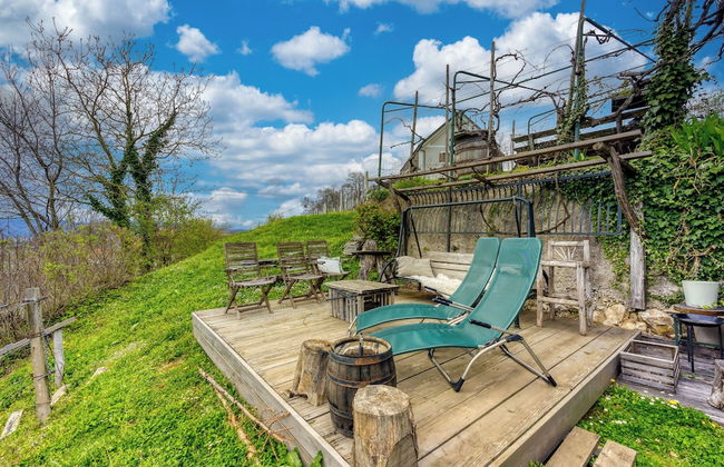 Vineyard Cottage Vercek - Foto 1